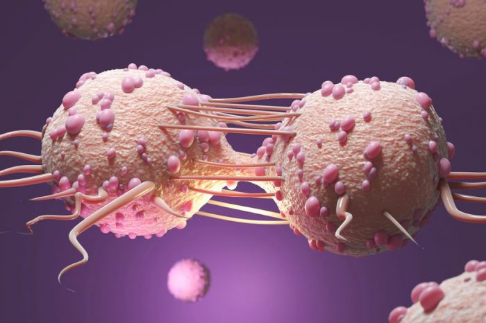 L’Algérie enregistre annuellement 44000 nouveaux cas de cancer