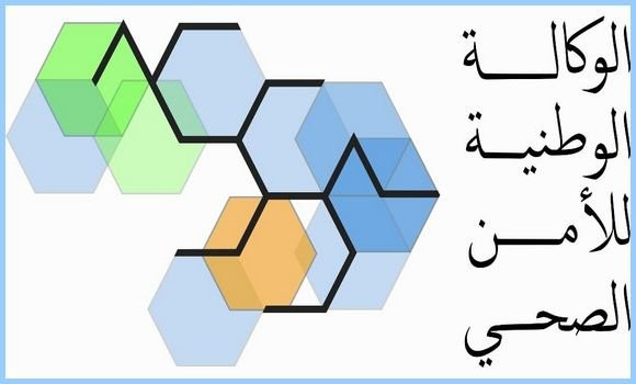 SNSS : d'un diagnostic stratégique approfondi vers un plan d'actions multisectoriel